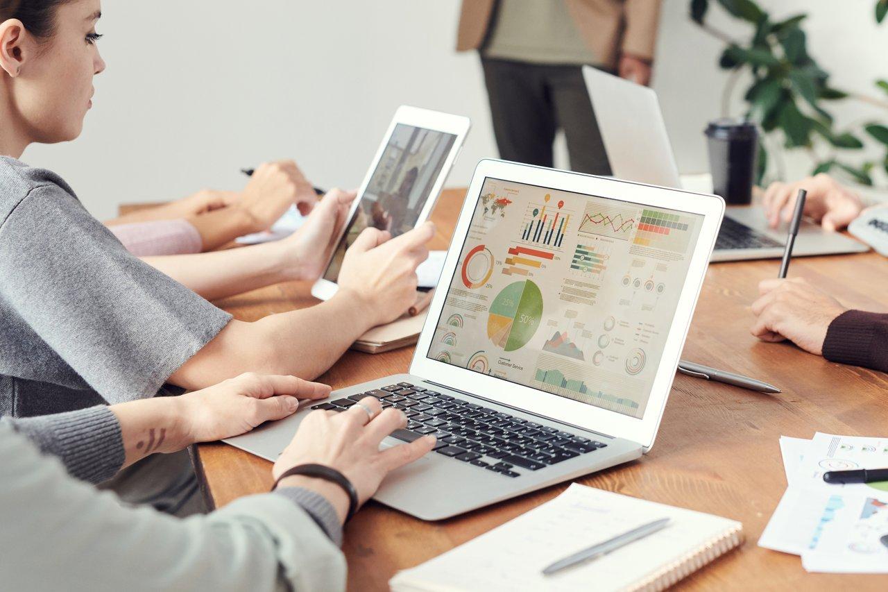 Business Plan: Contribution analysis