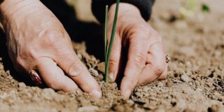 Ethics and social responsibility