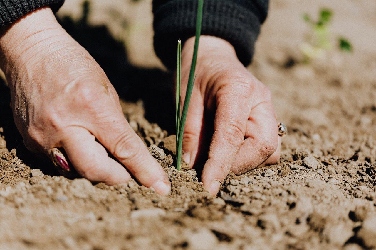 Ethics and social responsibility