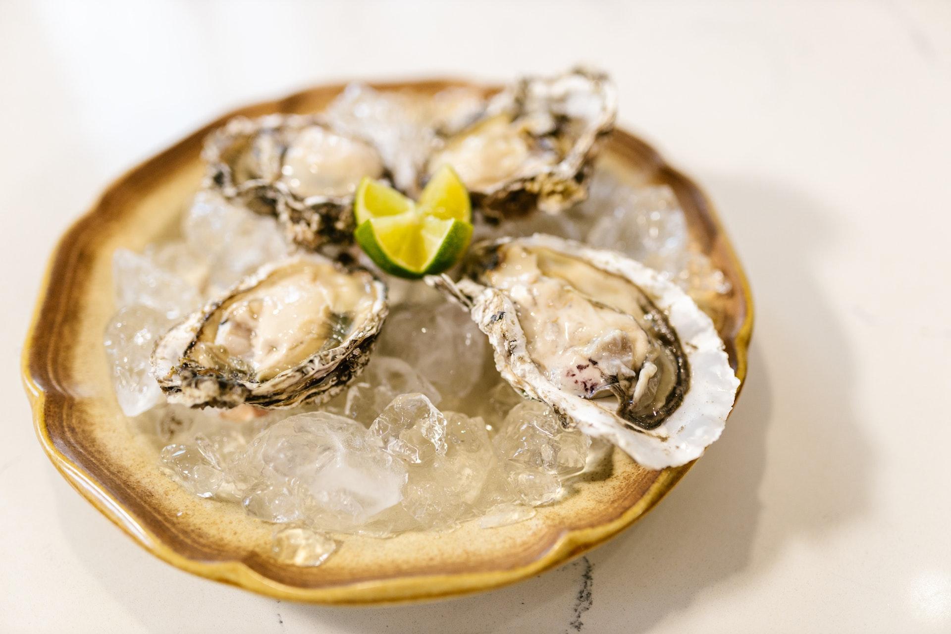 Starting an Oyster Bar Business