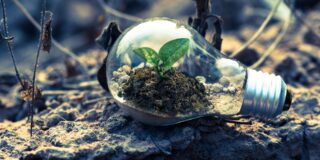 tips to Keep your Start-up Business Afloat