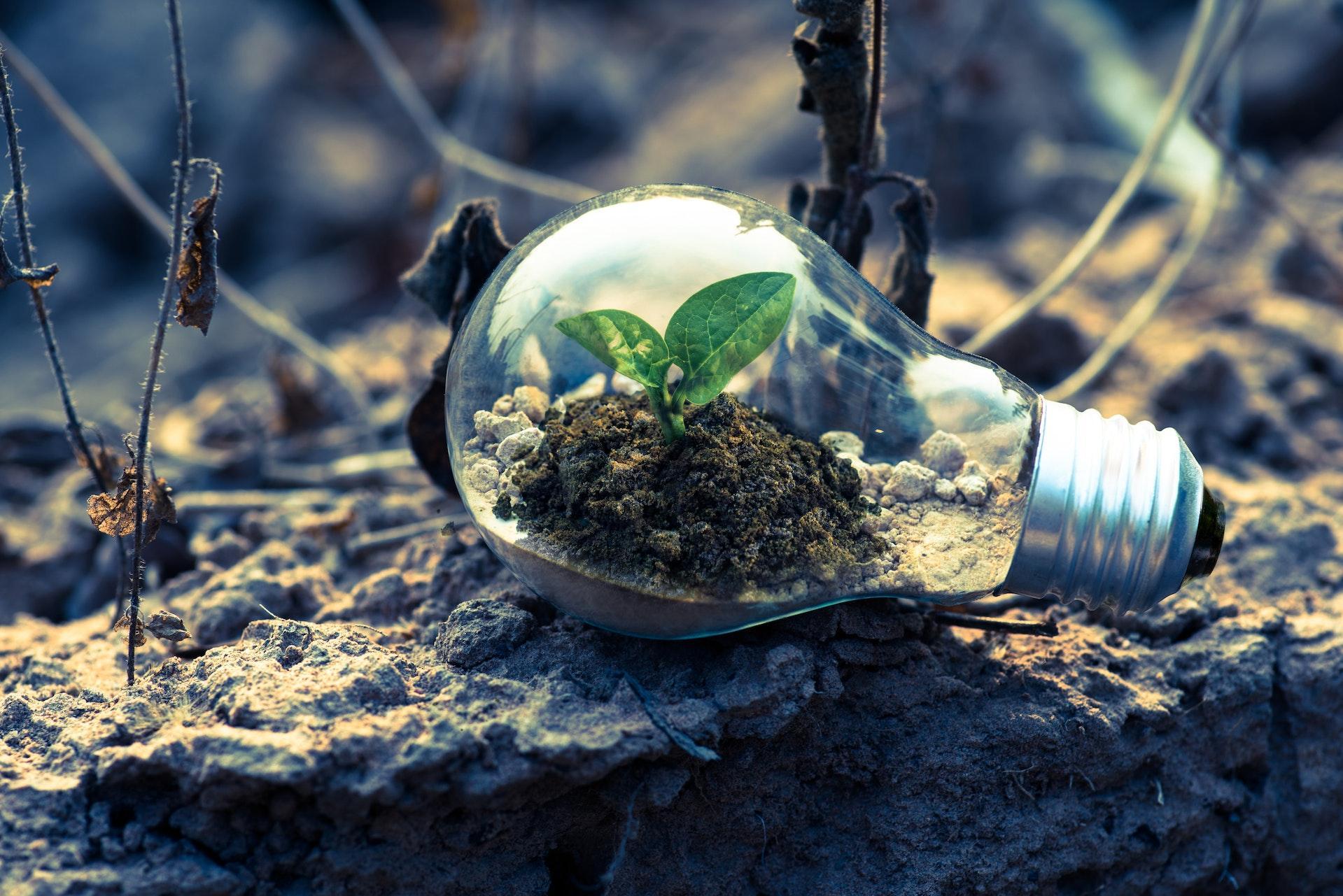 tips to Keep your Start-up Business Afloat