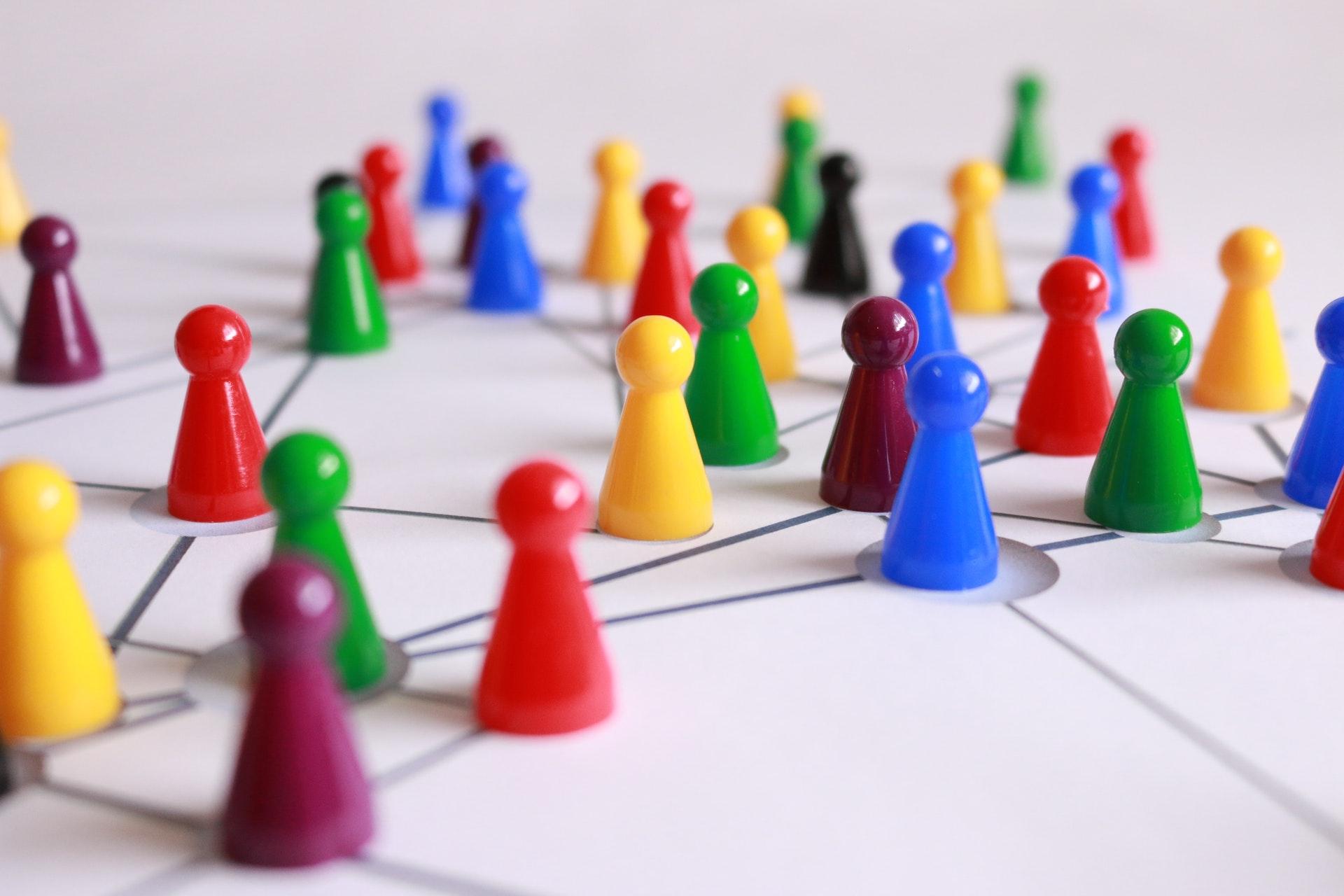 Networking Insights for Business