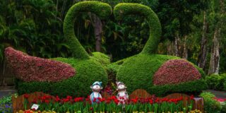 landscaping business